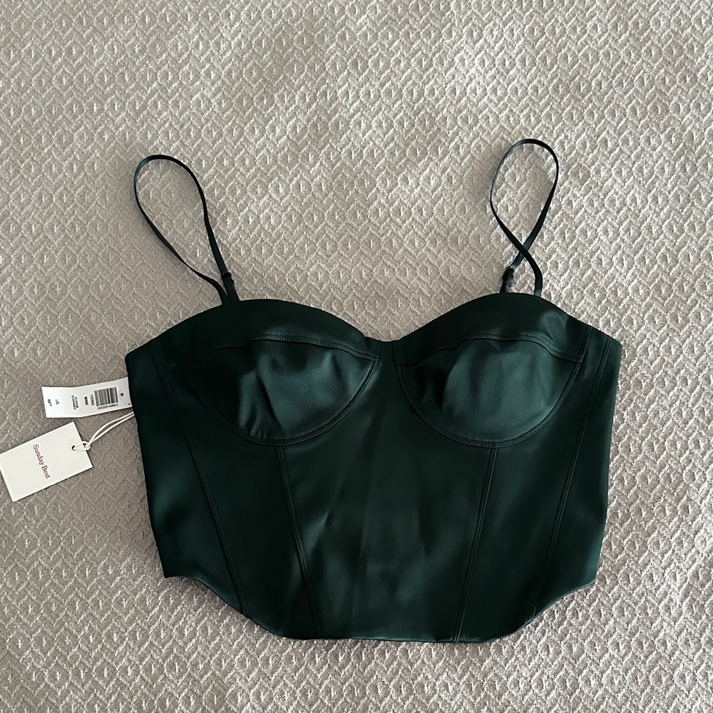 Aritzia Sunday Best Elegant Green Bustier Top
